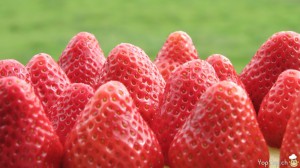 alignée de fraises