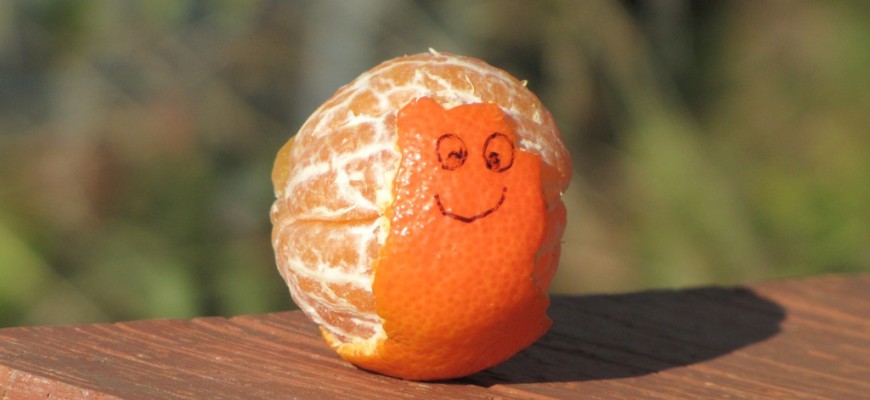 escargot en mandarine