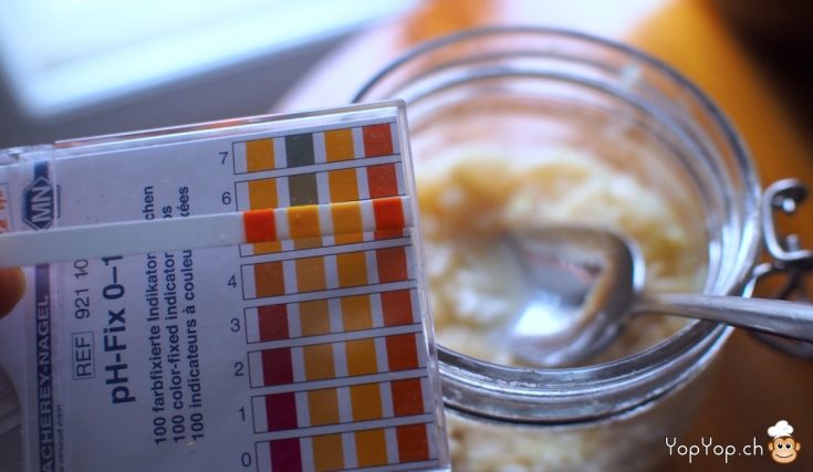 papier PH 4 acidité lacto-fermentation choucroute réussie