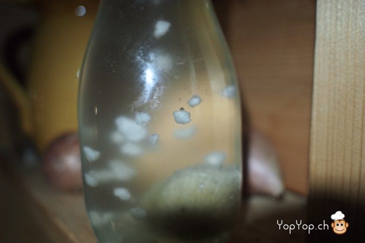 Grain de kéfir d'eau en lévitation grâce à une bulle